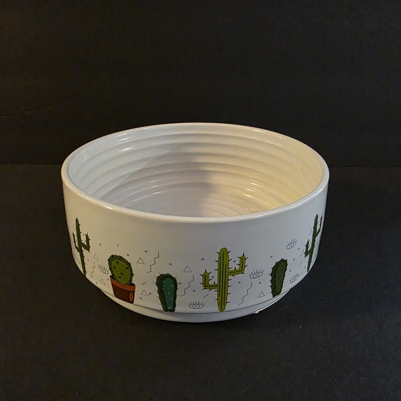TopPaw Other - Cactus Pet Water Or Food Bowl EUC Top-Paw